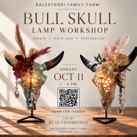 Gilded Steer Lamp Workshop - Balestrieri, Alhambra Valley 10/11