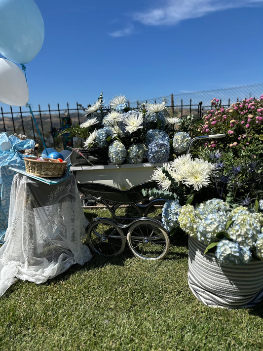 Bloom Bike or Bloom Buggy Rental Inquiry
