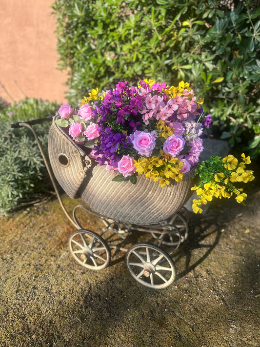 Bloom Bike or Bloom Buggy Rental Inquiry
